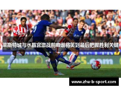 莱斯特城与水晶宫激战前瞻谁将笑到最后把握胜利关键 莱斯特城与水晶宫激战前瞻谁将笑到最后把握胜利关键