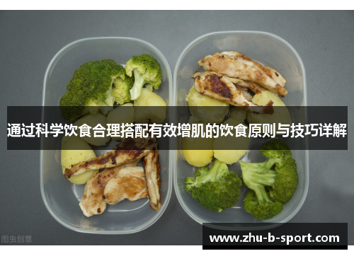 通过科学饮食合理搭配有效增肌的饮食原则与技巧详解 通过科学饮食合理搭配有效增肌的饮食原则与技巧详解