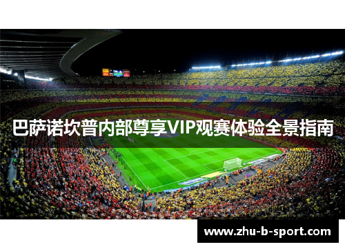 巴萨诺坎普内部尊享VIP观赛体验全景指南