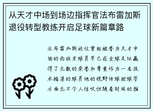 从天才中场到场边指挥官法布雷加斯退役转型教练开启足球新篇章路